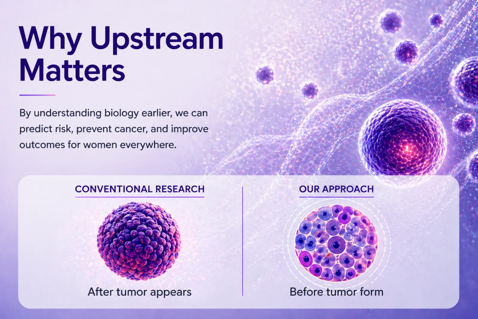Diagram titled "Why Upstream Matters" — comparing conventional research, which begins after a tumor appears, with the YWBCRI approach, which begins before a tumor forms.